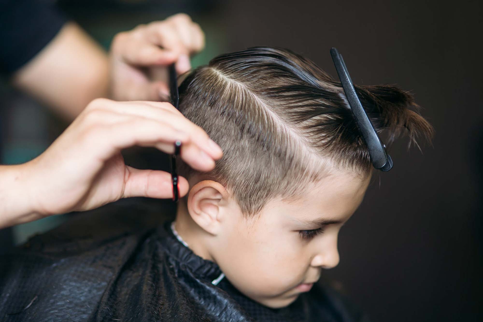 Little boy getting a haircut