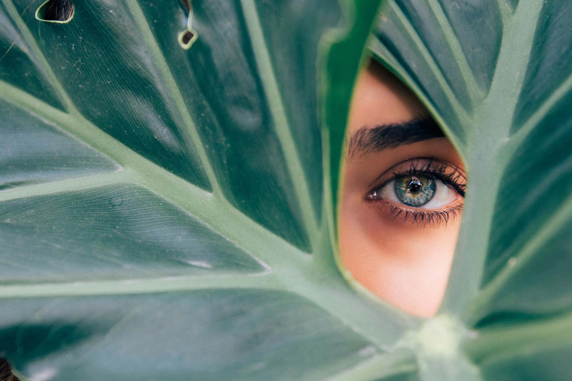 Close-up of woman's eye looking through a leaf