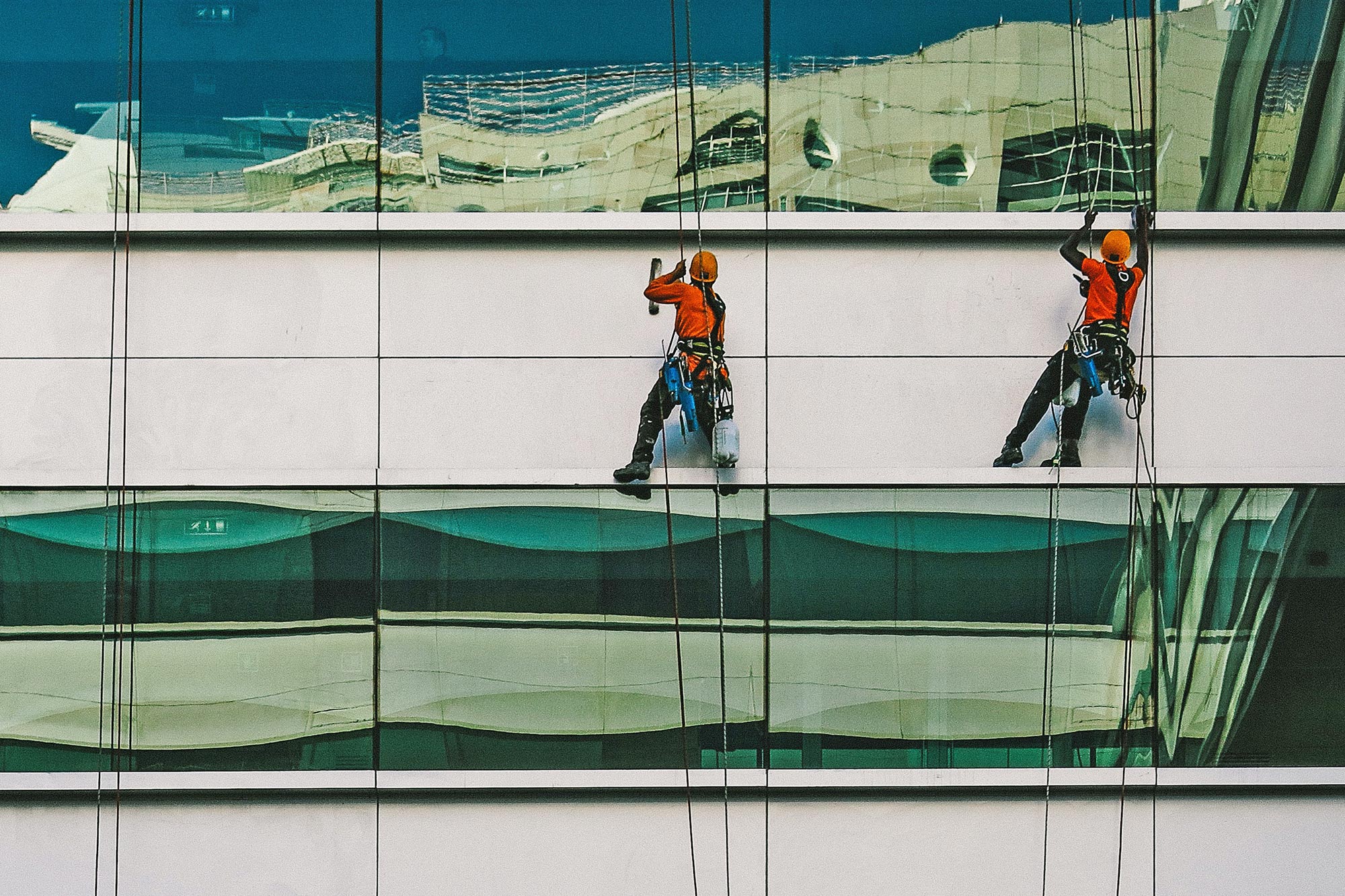 Window washers hanging off the side of a building cleaning the windows