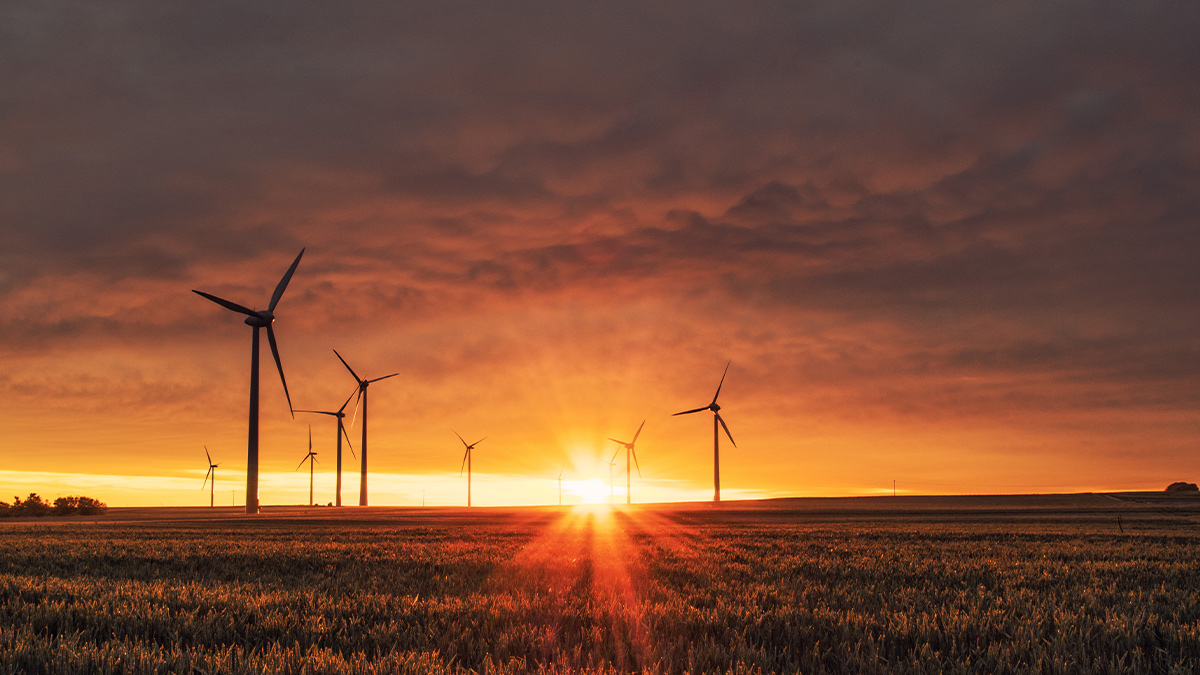 Windmills working at sunset. These windmills could be a product liability risk if their components are not insured with product liability insurance for industrial products.