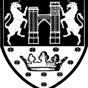 Medieval Fair and the City of Norman